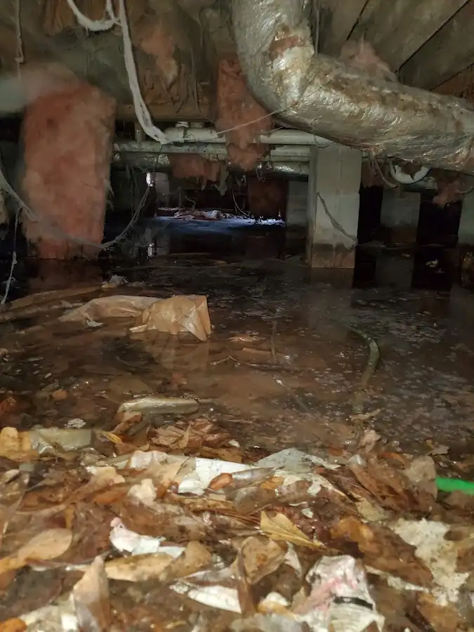 Crawl space flood assessment for Commercial Water Damage Restoration in Oak Grove