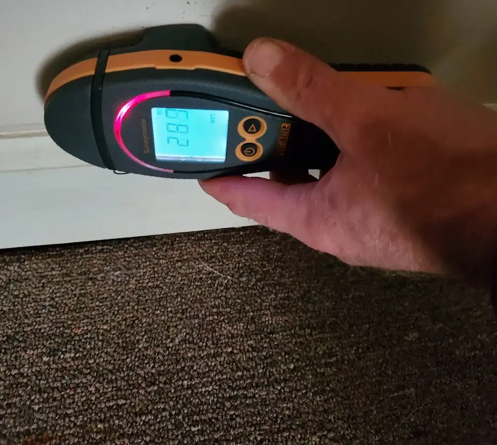 Moisture detection at baseboard during Sewage Cleanup & Sanitation in Oak Grove